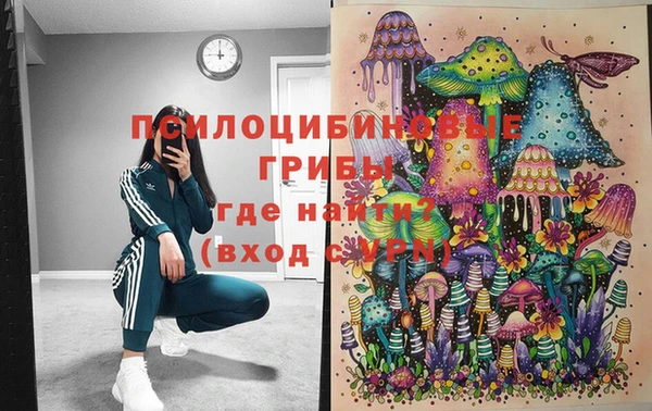 меф Майский