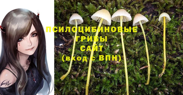 не бодяженный Магадан